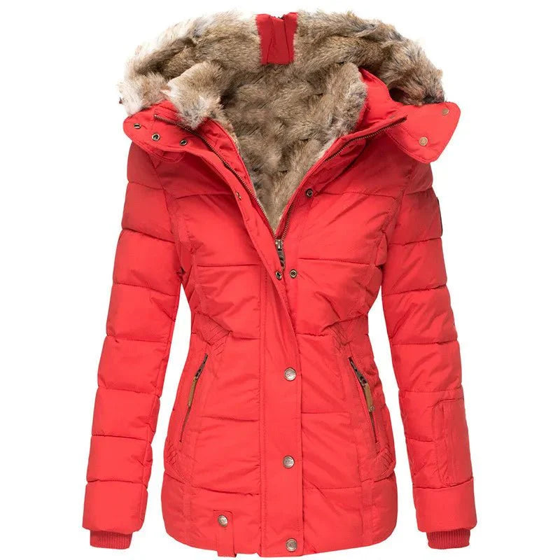 Veste d'hiver Femme | Ajustée & Douillette