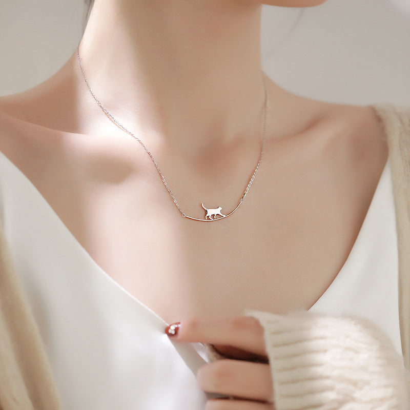 Collier de grimpe pour chat | Or blanc