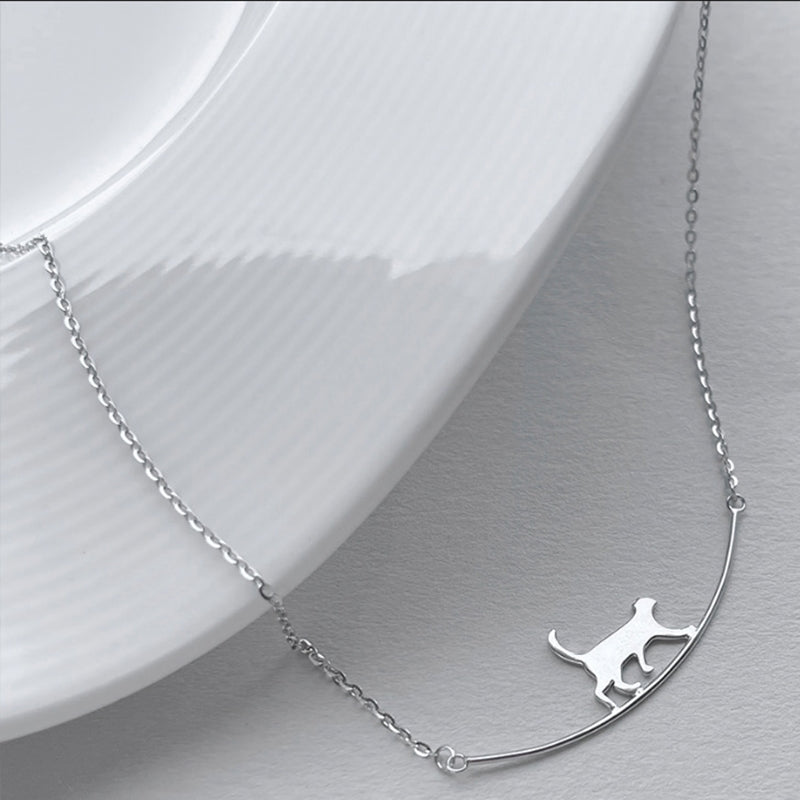 Collier de grimpe pour chat | Or blanc